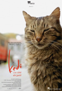 KEDI